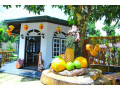 rp-rohamton-bungalow-and-coffee-bar-small-0