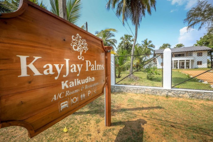 kayjay-palms-big-0