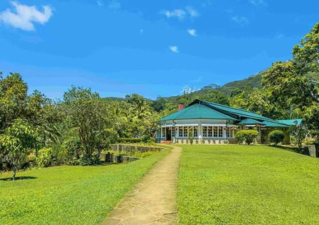 mountbatten-bungalow-kandy-big-4