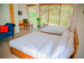 queenmarry-cottages-nuwara-eliya-small-1