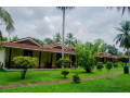 tamarind-tree-garden-resort-small-4