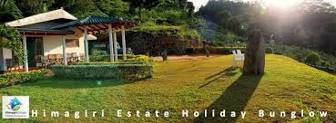 himagiri-estate-holiday-bungalow-big-1