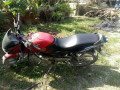 rent-a-bajaj-pulsar-150-today-small-0