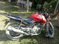 rent-a-bajaj-pulsar-150-today-small-1