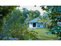 jungle-heart-cabanas-aluthgama-small-1