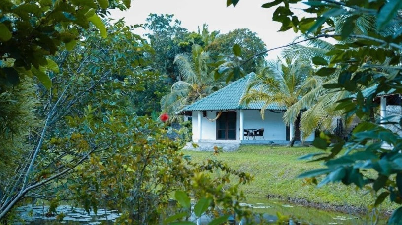 jungle-heart-cabanas-aluthgama-big-1