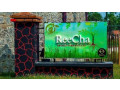 reecha-organic-farm-small-4