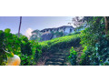 udagilma-tea-estate-resort-yatiyanthota-small-3