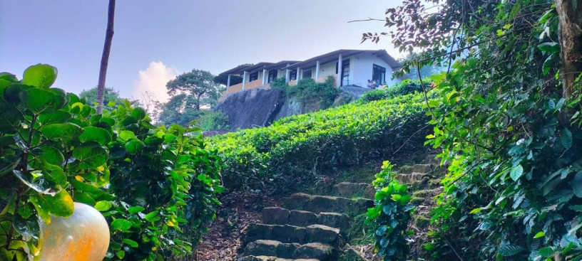 udagilma-tea-estate-resort-yatiyanthota-big-3