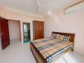 fully-furnished-apartment-for-rent-small-0