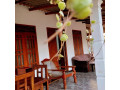 nesans-villa-small-3