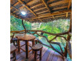 sayon-river-cottage-and-eco-garden-wellawaya-small-2