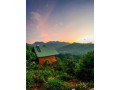 welcome-to-la-seran-eco-resort-bandarawela-small-1