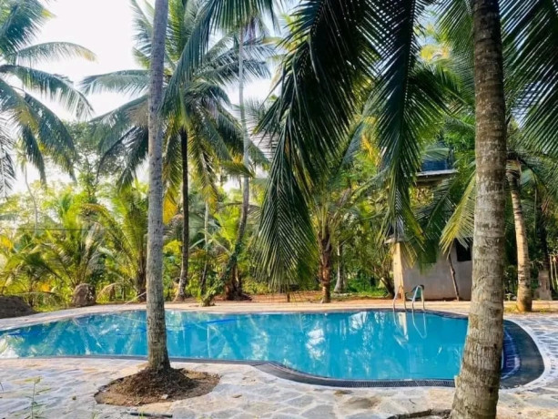 alakamandawa-athugalpura-family-park-eco-resort-big-4