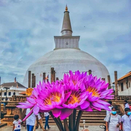 divine-villa-anuradhapura-big-3