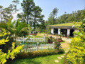 good-wood-hill-resort-small-2