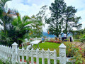 good-wood-hill-resort-small-4