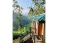 tea-cottage-resort-small-4