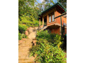 tea-cottage-resort-small-3