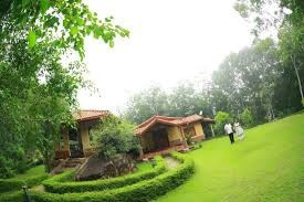 tappersvillage-nature-resort-retreat-centre-big-0