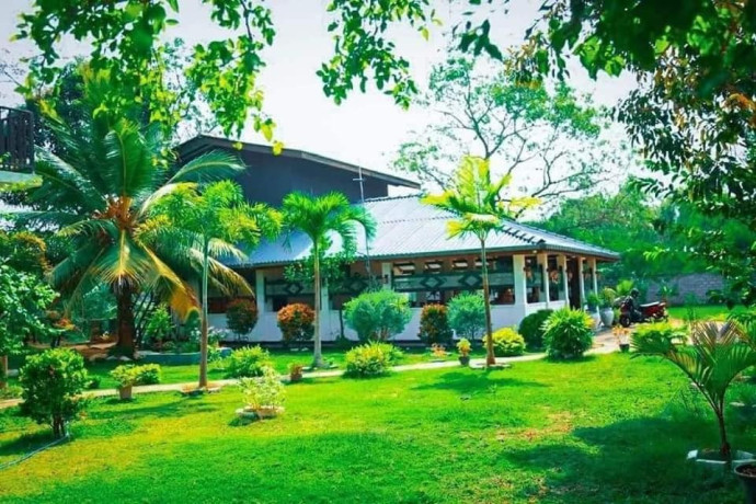 chenemo-holiday-resort-big-0