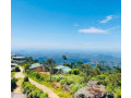 scenic-hilltop-guest-house-in-haputale-small-1