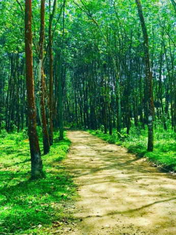 horana-mawak-oya-big-1