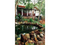 schumi-natural-villa-small-1