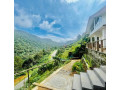 forest-view-villa-small-0