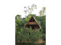 wisdom-resorts-habarana-small-2