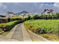 private-luxury-villa-in-nuwara-eliya-small-1