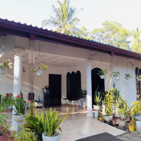 a-3-villa-in-anuradhapura-big-0