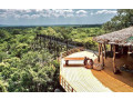 yala-safari-camping-in-yala-small-0