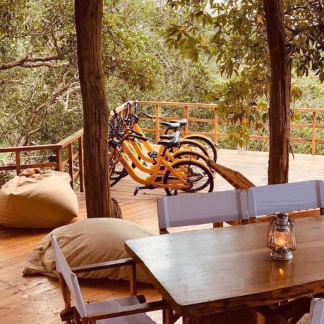 yala-safari-camping-in-yala-big-2