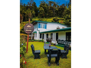 Hillside Resort in Nuwaraeliya