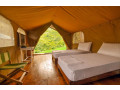 wild-glamping-knuckles-in-kandy-small-2