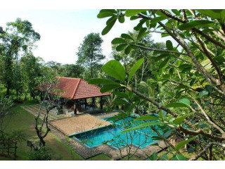 The Nature Lover's Resort in Horana