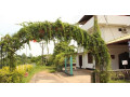 hotel-hill-side-in-galle-small-0