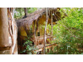 mutu-village-tree-house-experience-in-dambulla-small-3