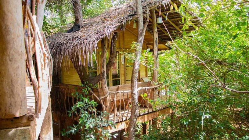 mutu-village-tree-house-experience-in-dambulla-big-3