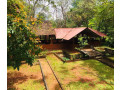 wilderness-bungalow-in-dambulla-small-2