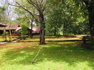 Wilderness Bungalow in Dambulla