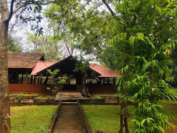 wilderness-bungalow-in-dambulla-big-1