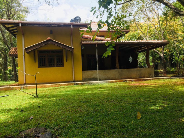 wilderness-bungalow-in-dambulla-big-3