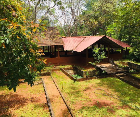 wilderness-bungalow-in-dambulla-big-2