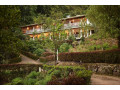 forest-edge-hotel-in-kithulgala-small-0