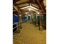 forest-edge-hotel-in-kithulgala-small-3