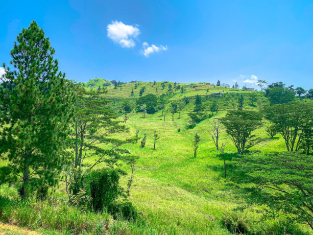 dunali-mountain-view-galaha-big-2