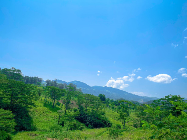 dunali-mountain-view-galaha-big-3