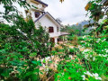 farm-house-bungalow-in-bandarawela-small-0